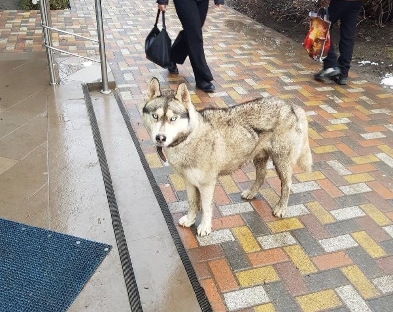 Источник фото https://www.instagram.com/p/CKqXm9MJn6g/