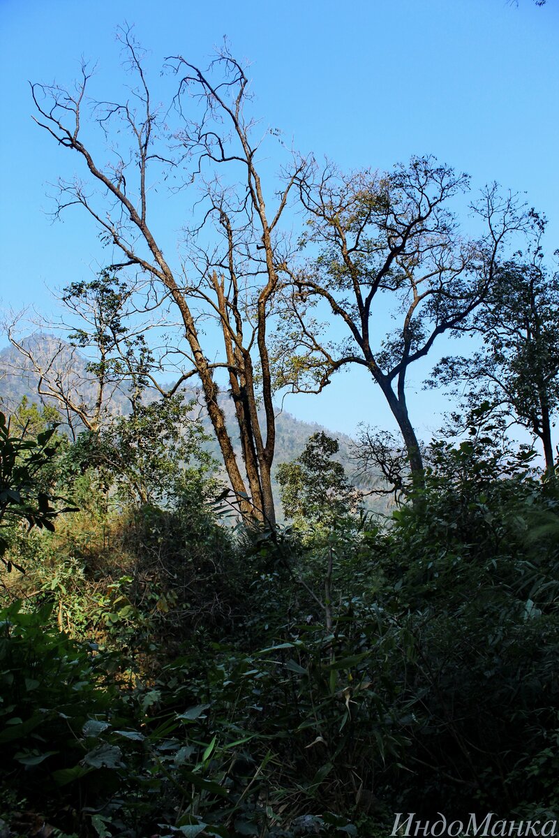 На пути к водопаду Патна. Patna Waterfall. Фото автора.