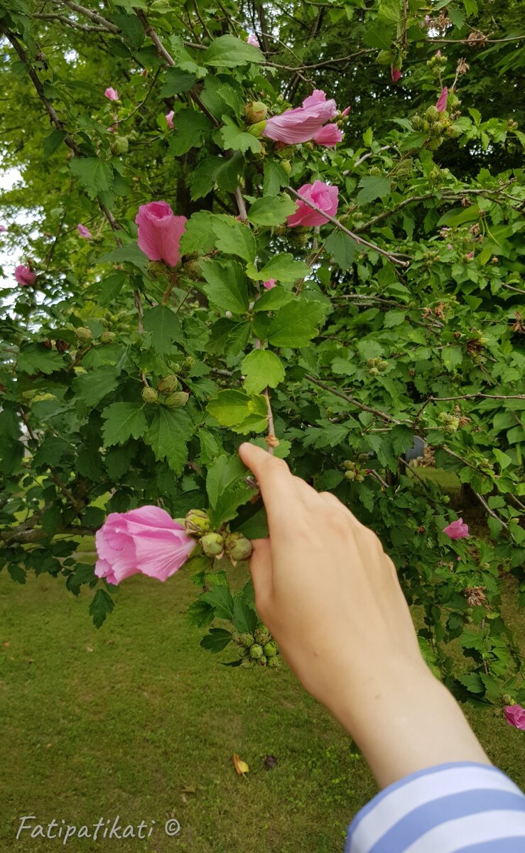 В самые сложные моменты, когда вот-вот захочется все бросить и убежать прочь, уйти в себя и никогда не возвращаться в эту тяжелую реальность, просто уделите себе (да-да, именно самим себе) хотя бы 5 минут.