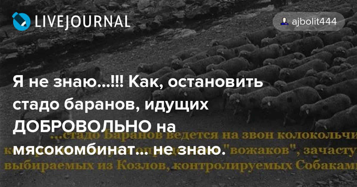 Афоризмы о стаде. Стадо людей. Стих про ребят. Тупое стадо. Подходящие по смыслу.