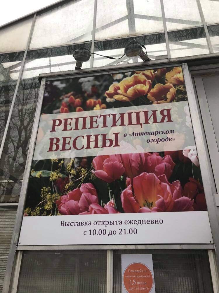 Просят соблюдать дистанцию, но жестких ограничений на выставке нет