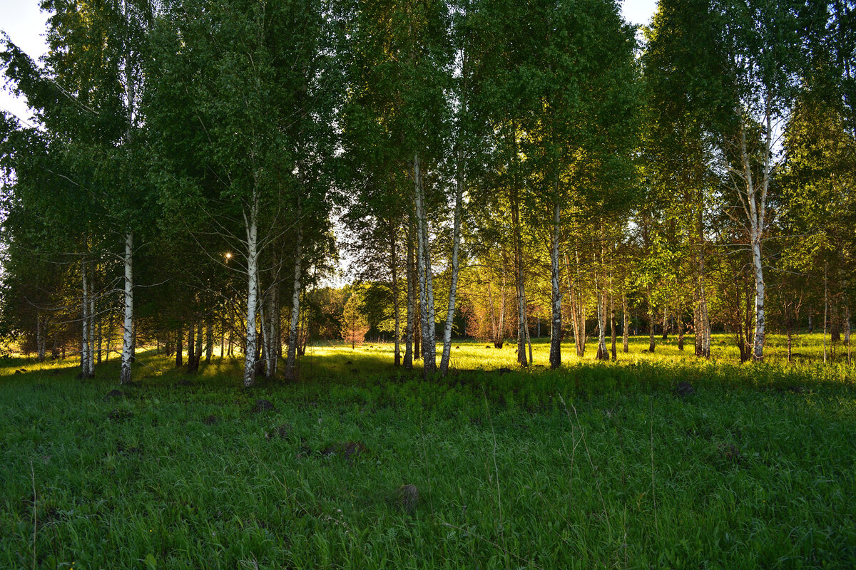 Фотография моя, пусть будет для обложки статьи.