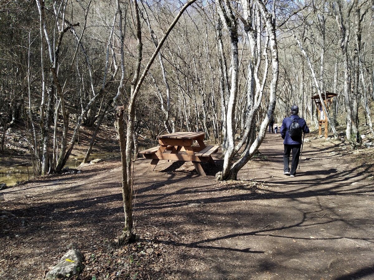 Идем к водопаду через бор