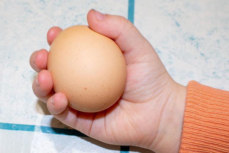 Кура несет мелкие яйца. Самые маленькие яйца. Маленькие куриные яйца. Яйцо маленькое шершавое бежевое. На коже яиц маленькие шишочки.