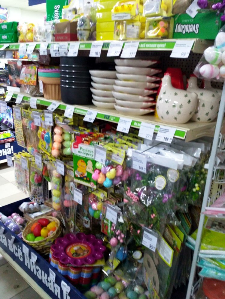 Фото автора статьи