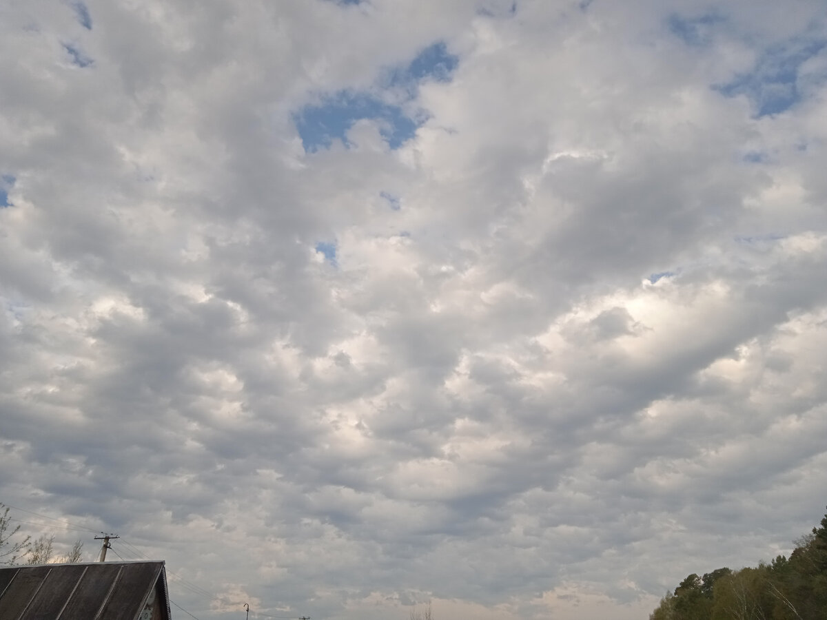 Сегодня утром небо было очень красивое, как будто море воздушной пены. 