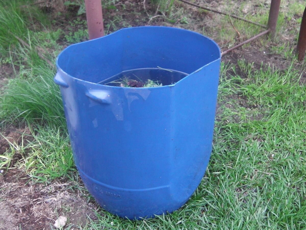 Сорняковый чай. Фото автора