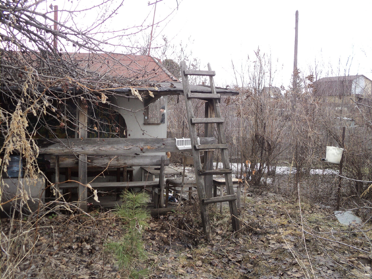 Фото моё, далекий 2016 год, когда я еще не была хозяйкой этой "прелести"