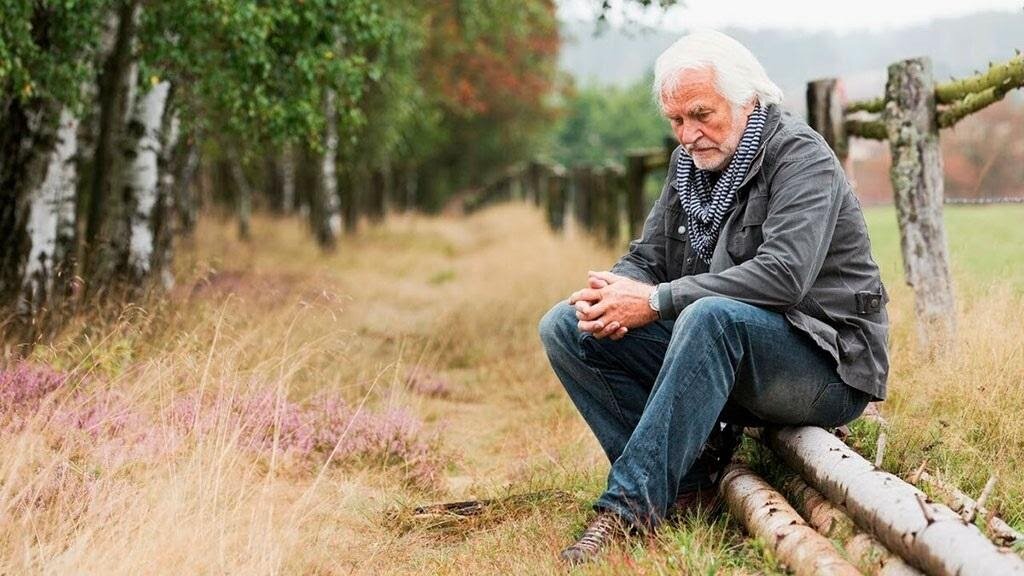 Чем заполнить оставшиеся годы?