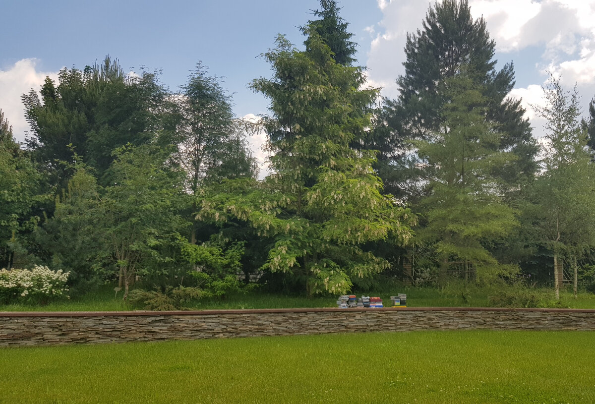 Эти диски на годы ни дома, ни в природе не нужны. Но надо начать с чего-то...