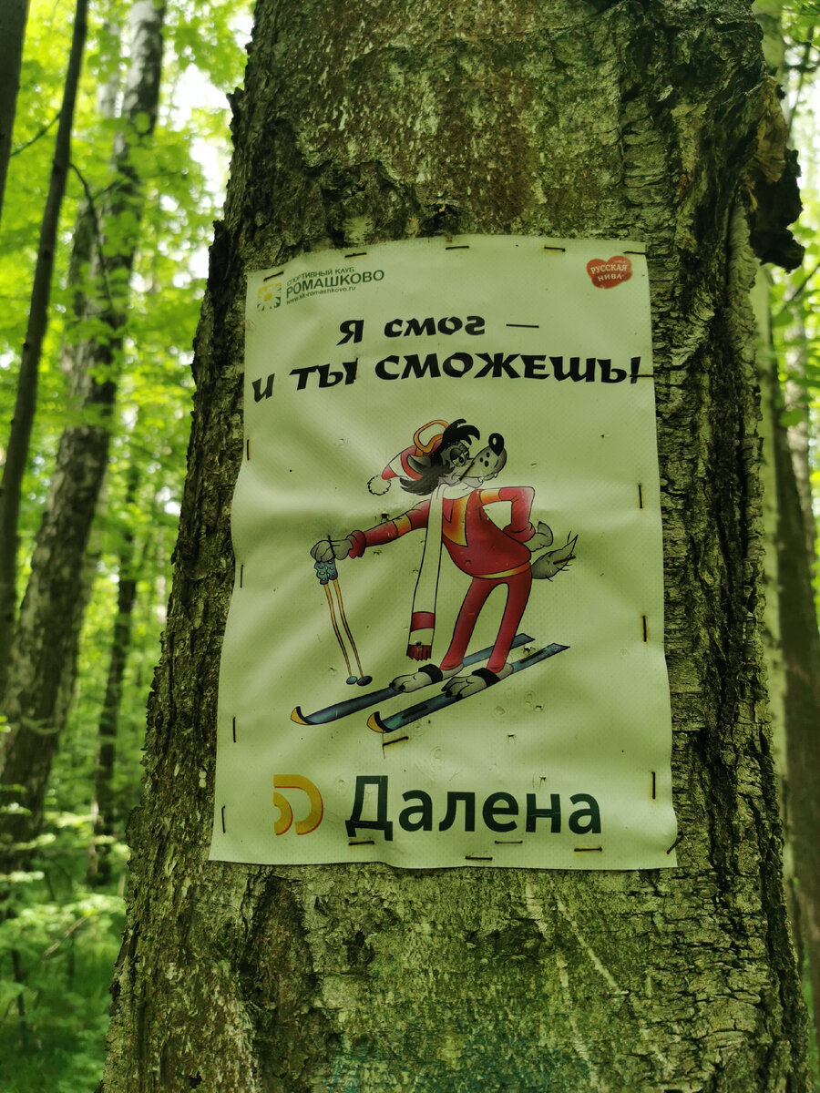 Зимняя мультяшная тематика в летний день