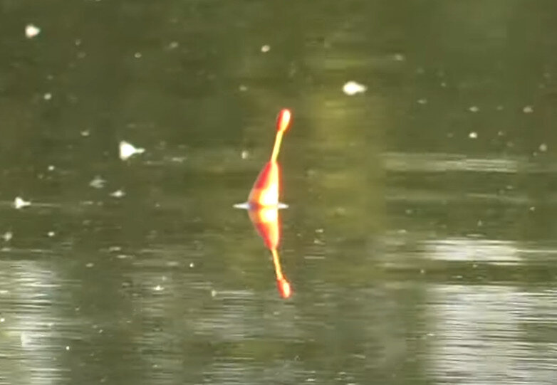 ловля на поплавок