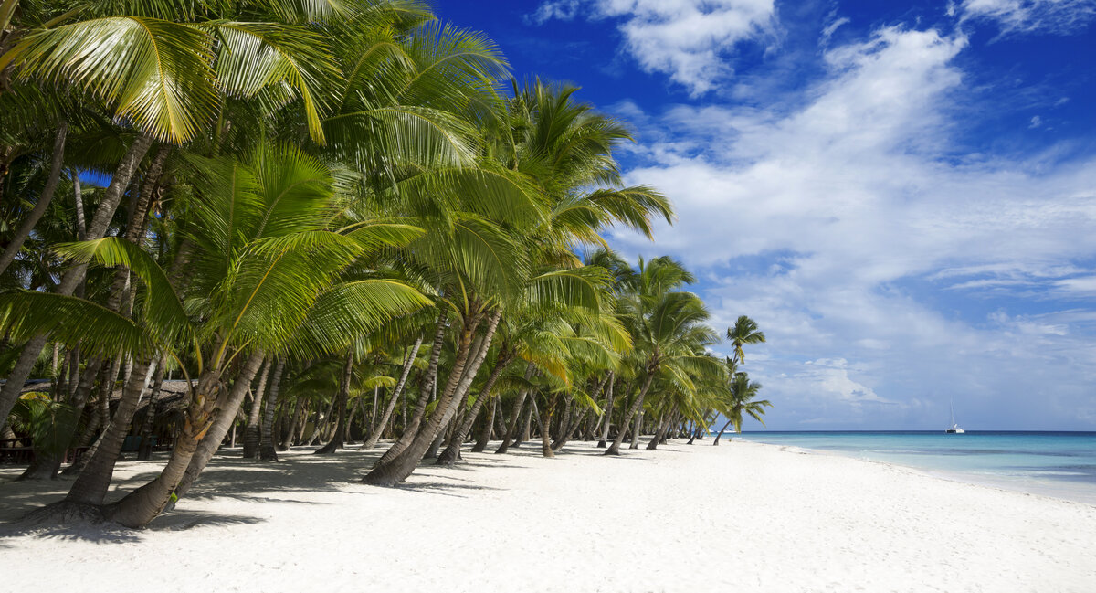 Фото: shutterstock