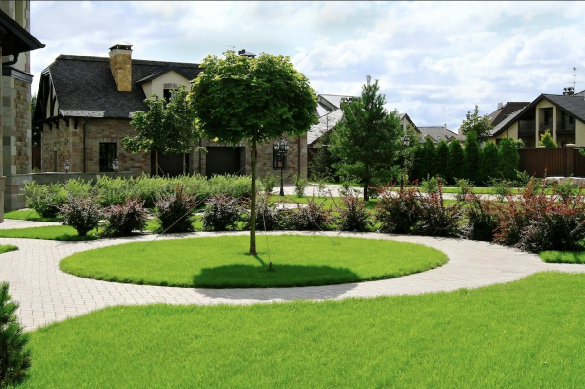 Пример сада, крайне неуютного для змей.  С avatars.mds.yandex.net.