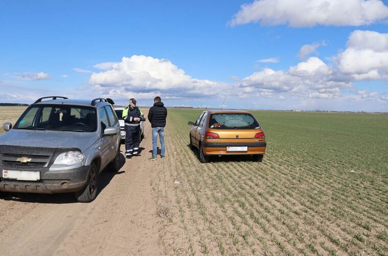 Житель Пинска бессовестно «припарковал» свое авто прямо на свежие всходы зерновых культур.