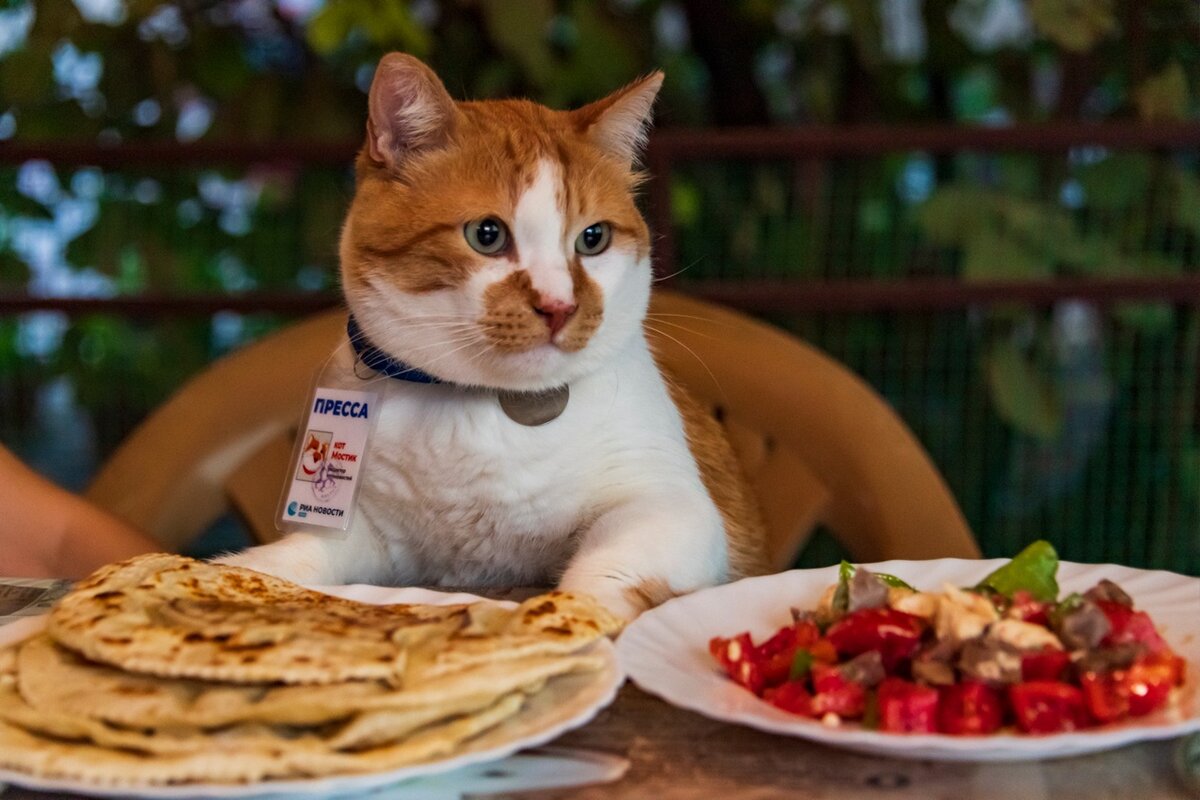 Янтык — брат–близнец чебурека 