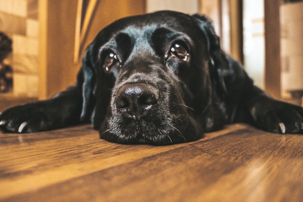 #нетпредела 