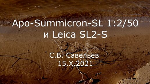 С.В. Савельев. Apo-Summicron-SL 1:2/50 и Leica SL2-S - [20211015]