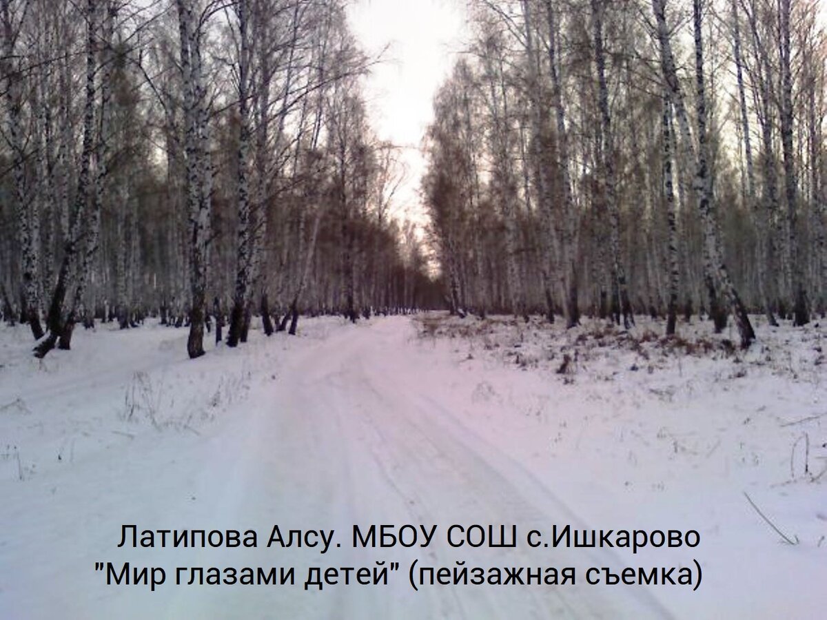 Зимний лес возле села Ишкарово