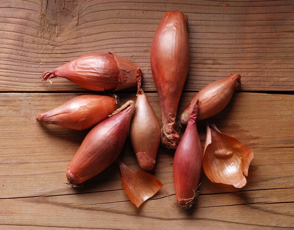 Лук-шалот. Источник Яндекс.картинки