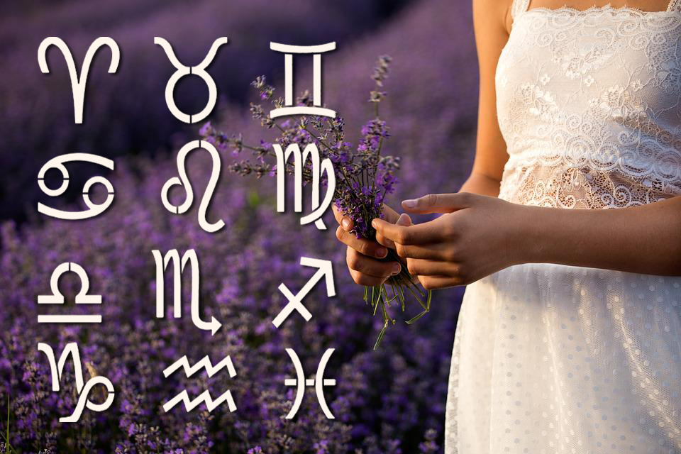 Источник: pixabay.com