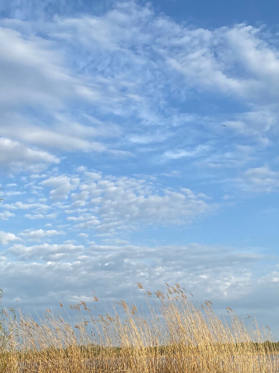 Виды из окошка поезда между  где то между Ростовом  и Краснодаром..