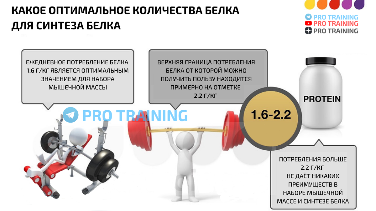 Для набора мышечной массы собакам. Количество белка для набора мышечной массы для мужчин. Как влияют сигареты на набор мышечной массы.