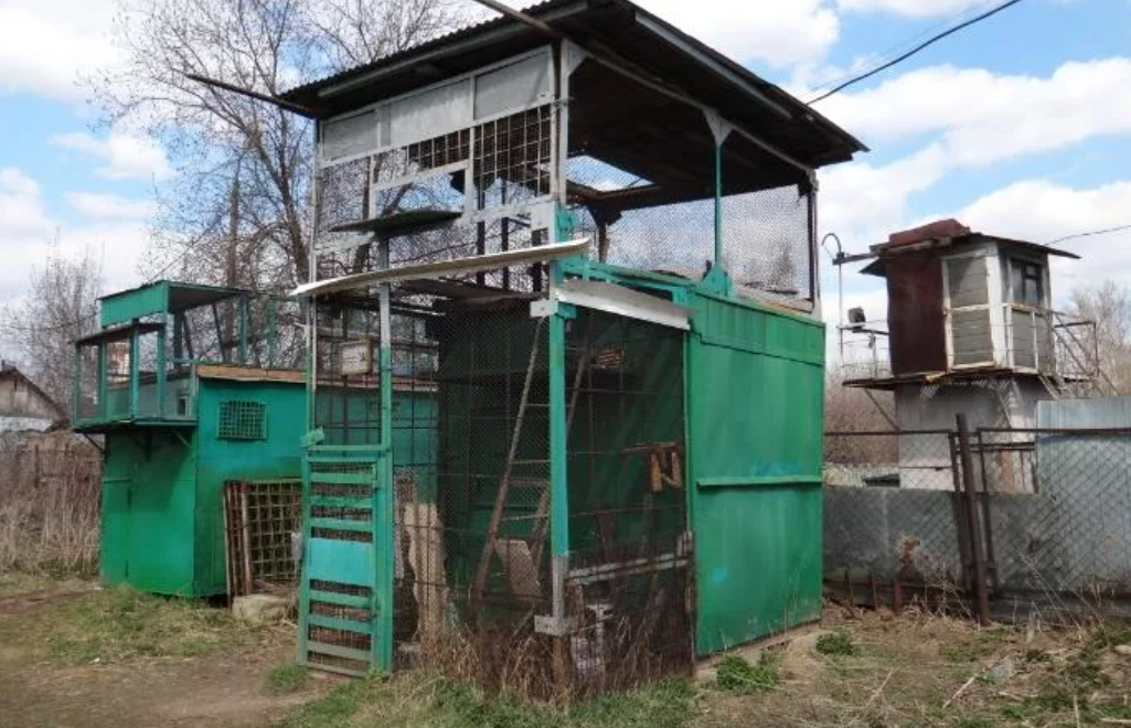 Зачем голубятни. Голубятня Харлашина. Московская городская голубятня. Голубятня Брежнева. Битцевский парк голубятня.