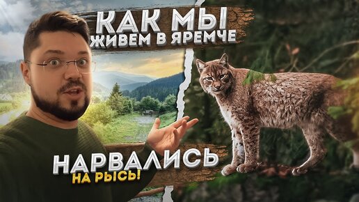 НАРВАЛИСЬ НА РЫСЬ В ЛЕСУ! КАК МЫ ЖИВЕМ В ЯРЕМЧЕ