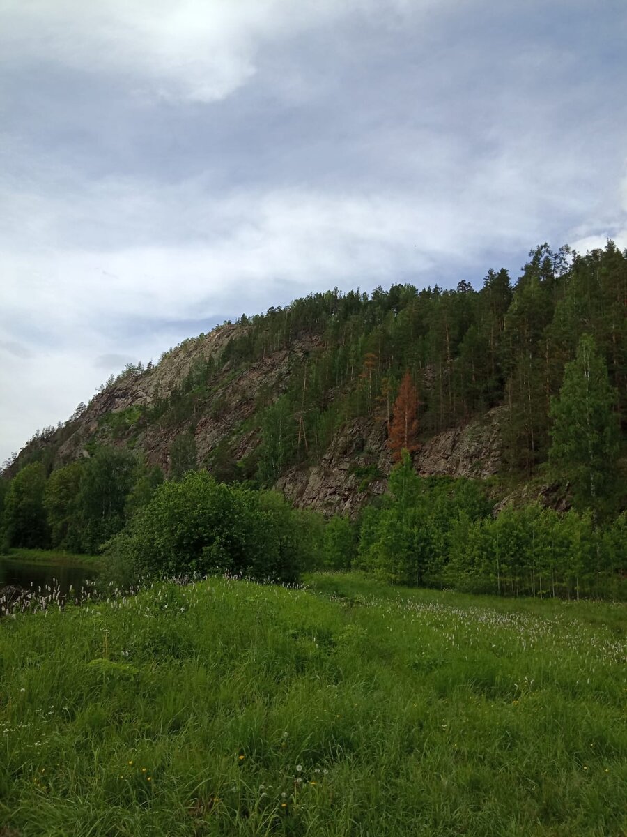 Вид на гору Медведь камень (июнь)