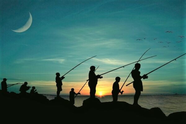    Фото: pixabay.com