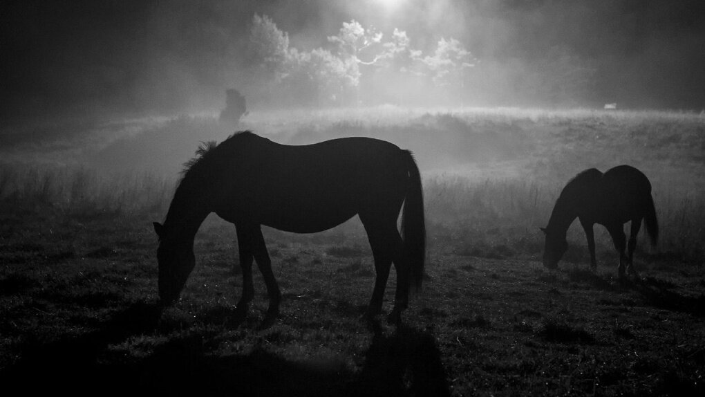 Фотография из открытого доступа.