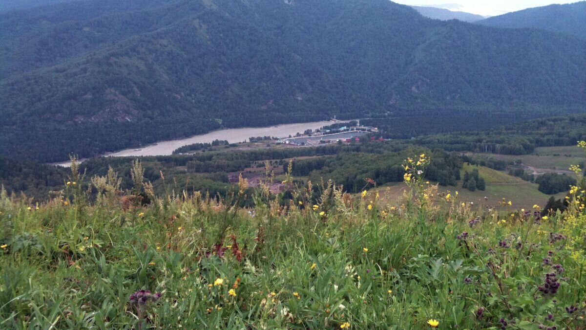    Алтайские горы© Радио Sputnik Наталия Нерсесян