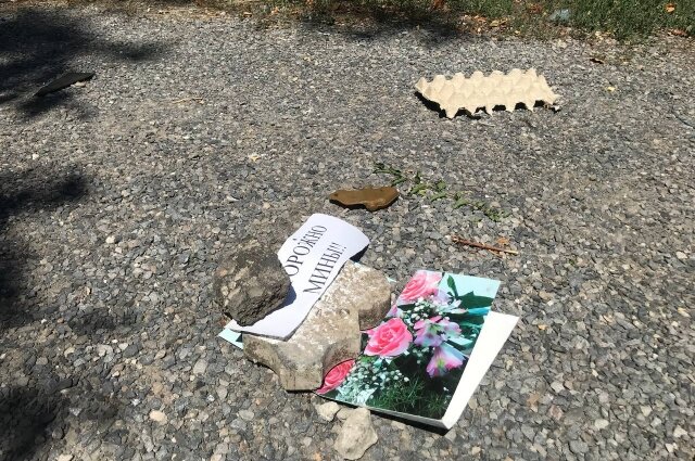    Фото:  АиФ/ Дмитрий Григорьев