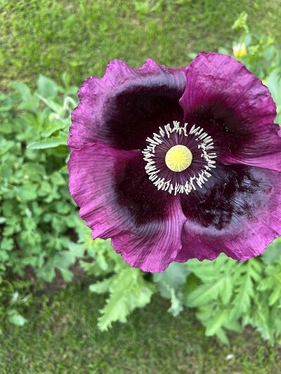 Фото из личного архива (Томск, август`2022)