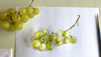 Как нарисовать виноград акварелью. Поэтапное рисование для начинающих