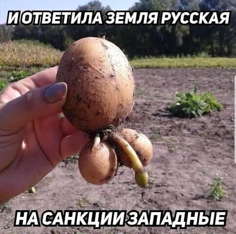 Миру -мир!