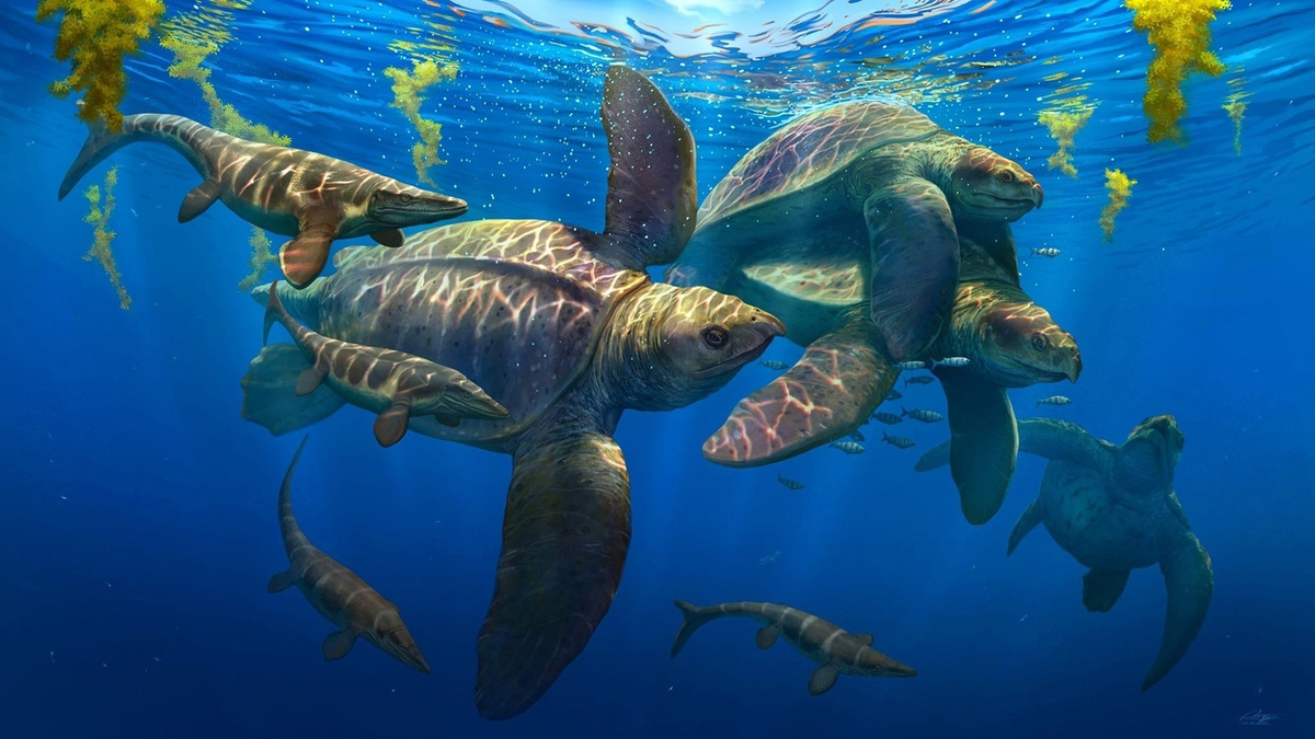 А это приквел к статье. 