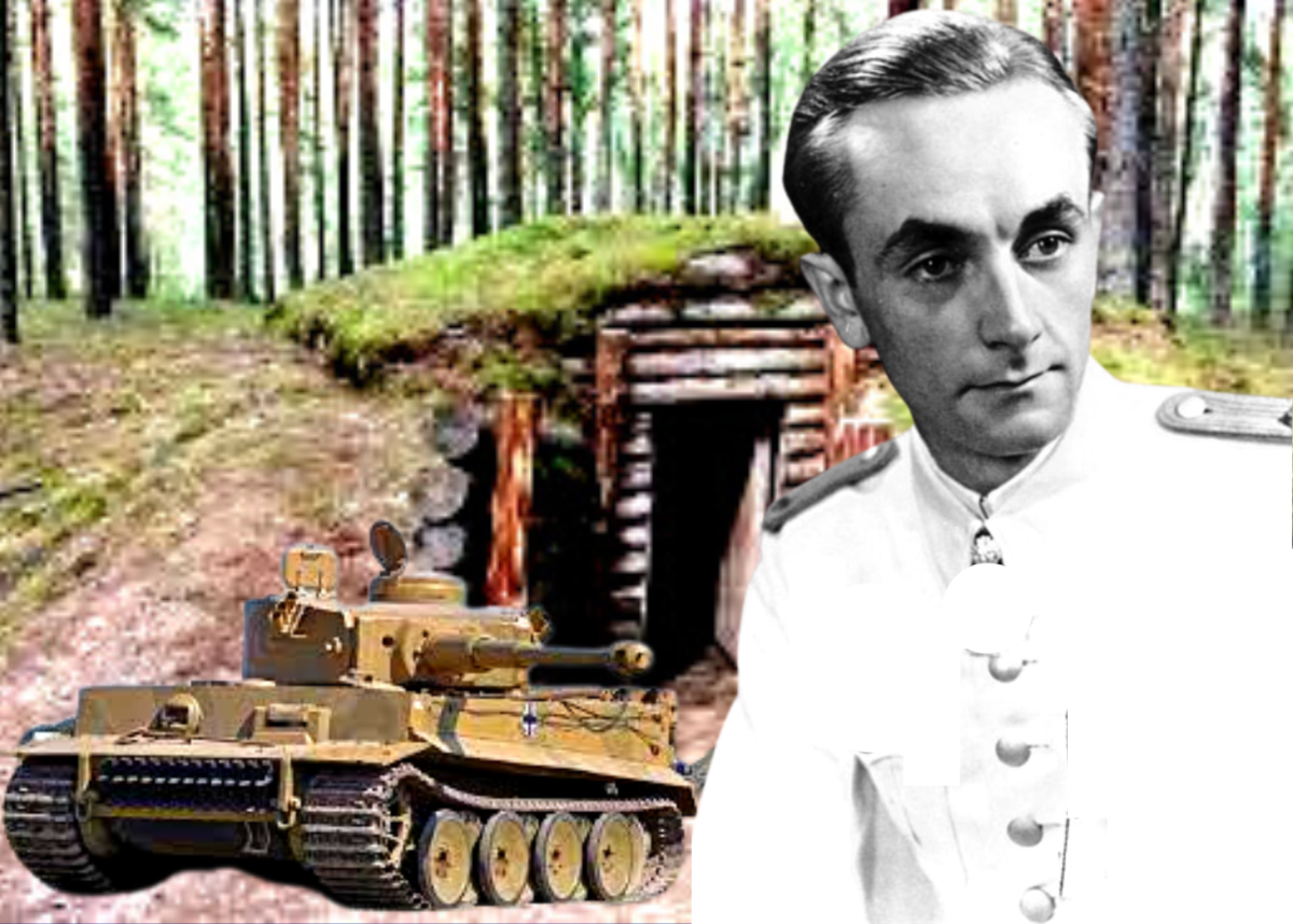 Отто кариус. Отто Кариус тигры в грязи. Отто Кариус о русских. Отто Кариус на ягдтигре