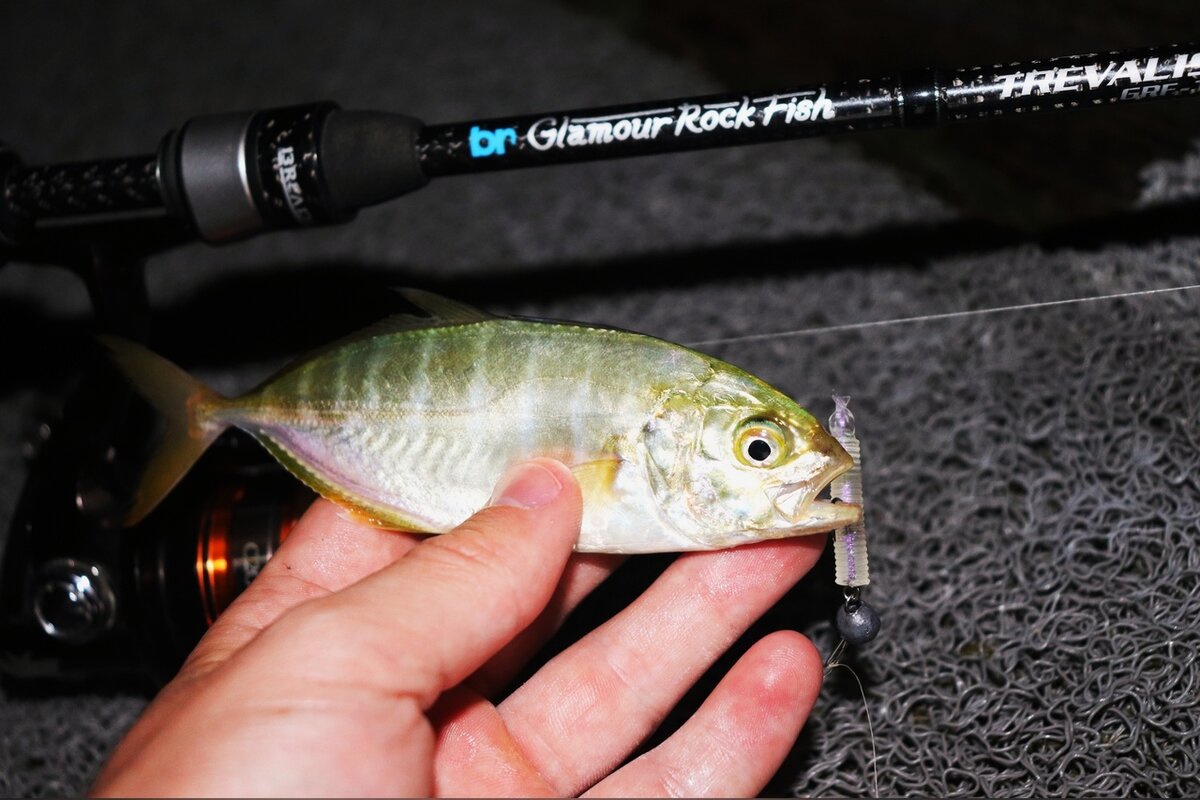 Так получилось, что первые дни сентября я встречал на жарком побережье Средиземного моря в Турции. В это путешествие я просто не мог поехать без удочки. Воображение рисовало мне злые поклевки и яростную борьбу с морскими хищниками. Но мои мечты были разбиты о суровую реальность. А все дело в том, что кругом были частные территории отелей и рыбалка была запрещена. На территории нашего отеля охрана также не позволяла мне ловить. Но желание порыбачить было намного сильнее любых запретов. Поэтому я пробирался на пирс поздней ночью или ранним утром и ловил ровно до тех пор, пока меня не засечет охрана.