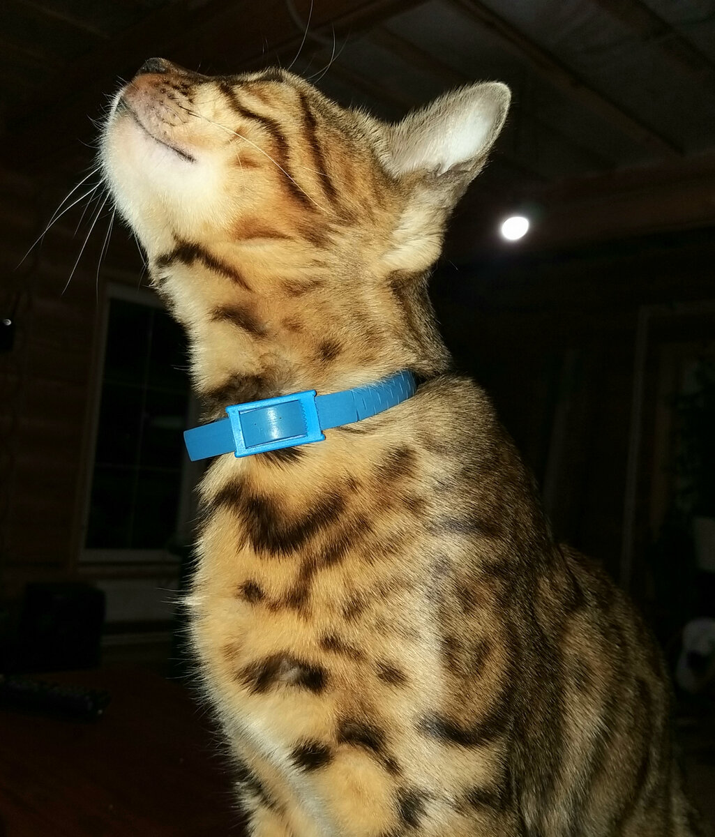 Пахнет чем-то вкусным