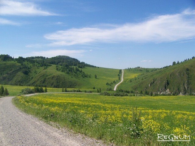    Алтайски край © Светлана Шаповалова