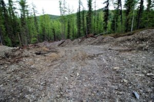 Фото: Павел Жовтюк