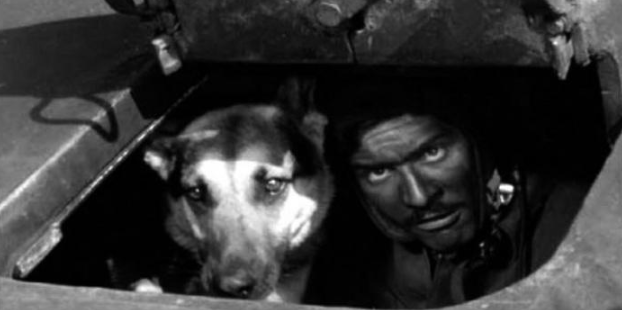 Интересные моменты со съемок сериала "4 танкиста и собака". Почему его перестали показывать в Польше