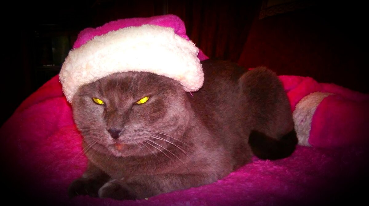 Ждём Нового года...