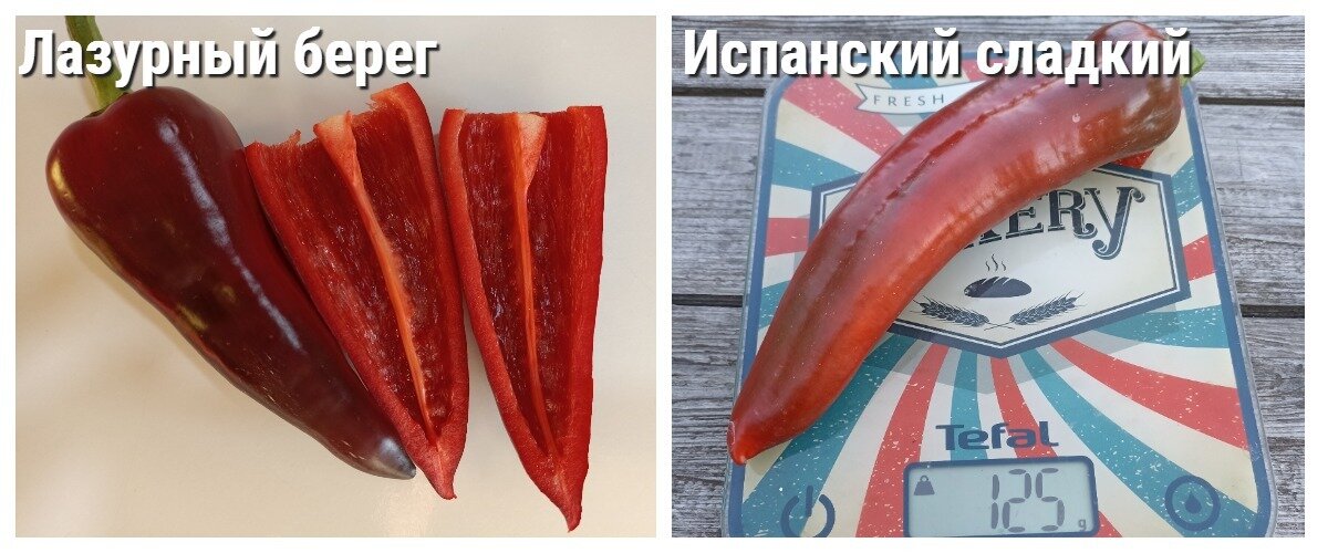    Плоды этих перцев сочные и вкусные