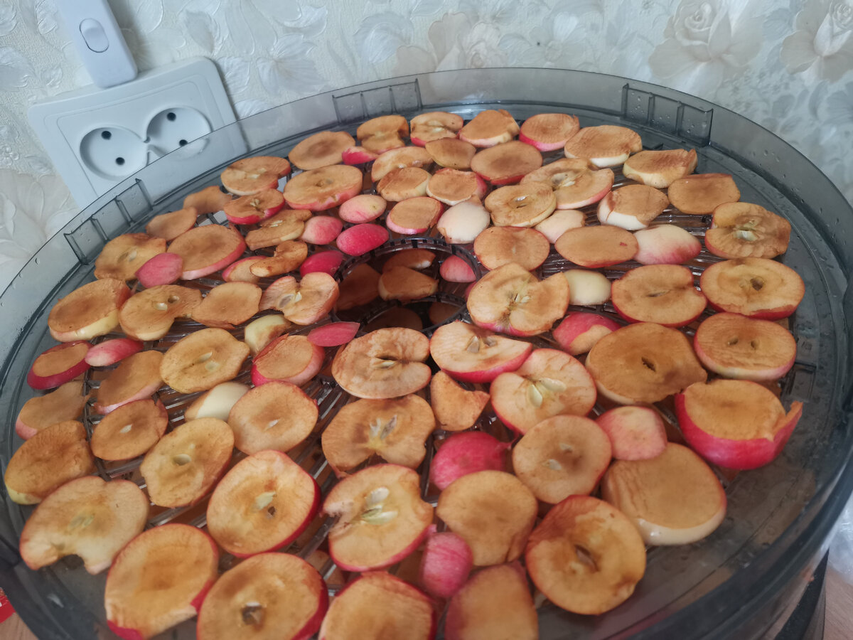 высушить яблоки в духовом шкафу