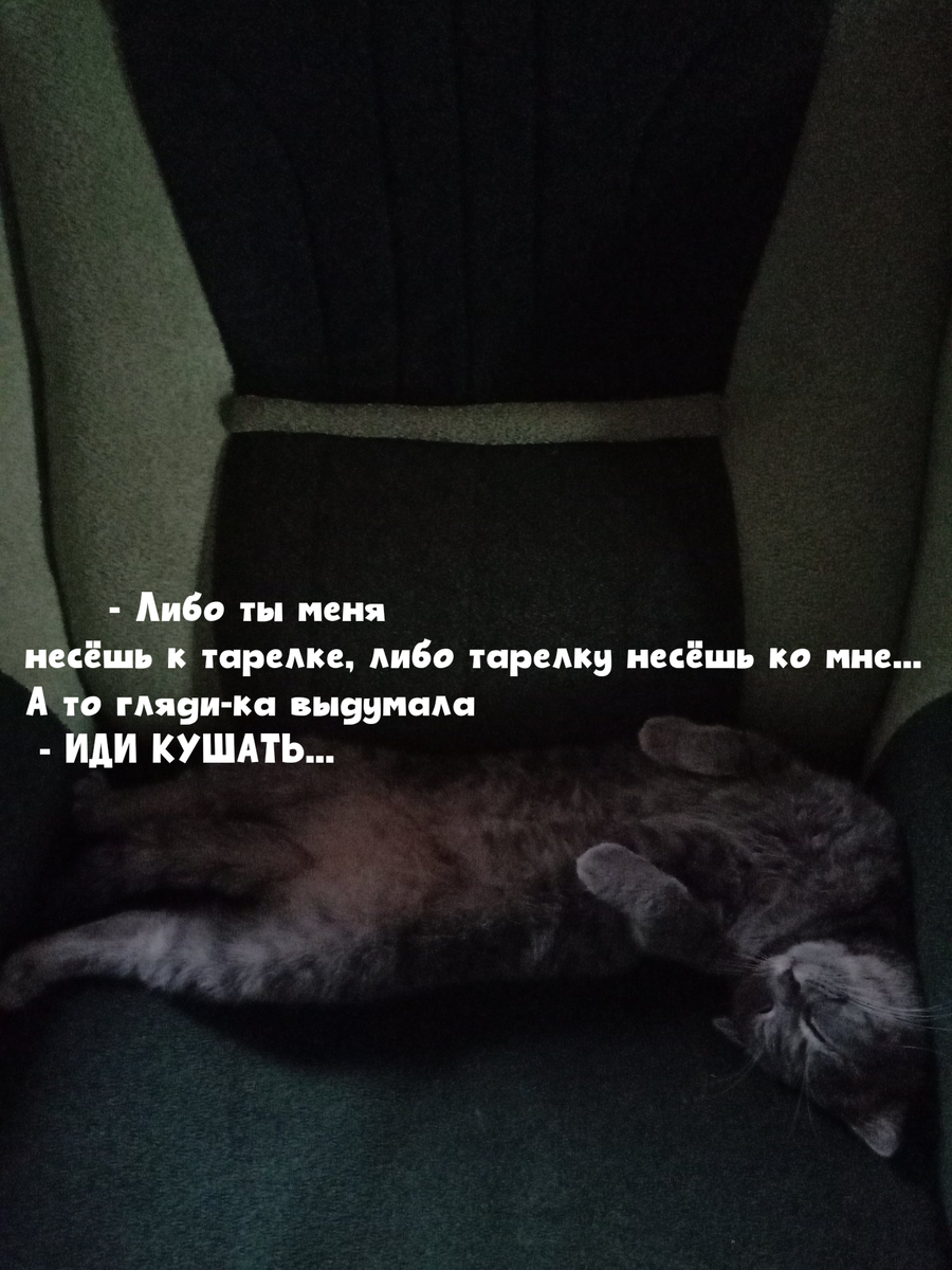 Коша и лень 😊