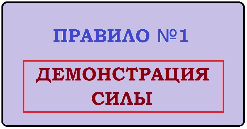 Демонстрация силы есть неотъемлемый элемент политики