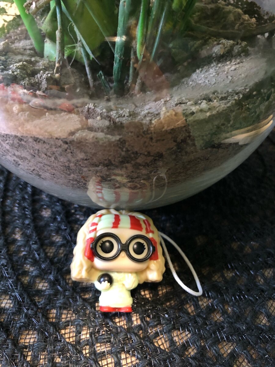 Многообещающее начало